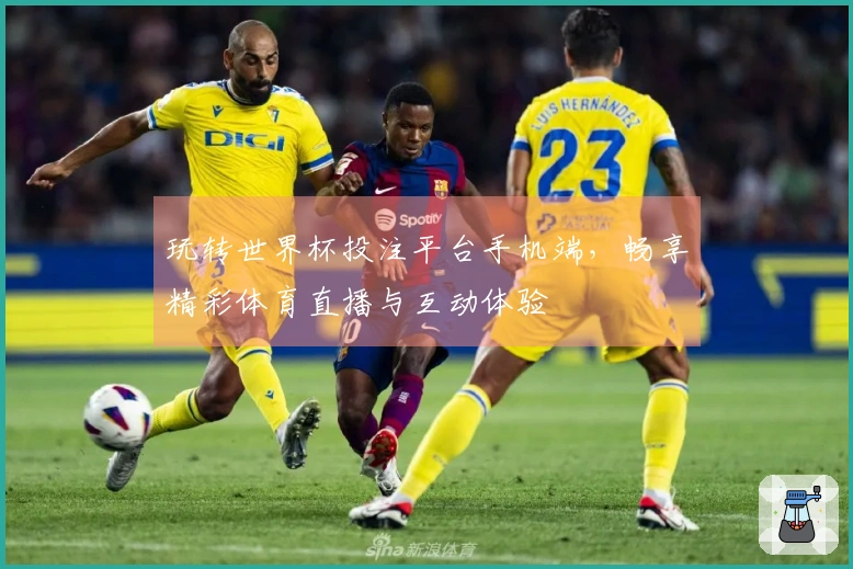 玩转世界杯投注平台手机端，畅享精彩体育直播与互动体验