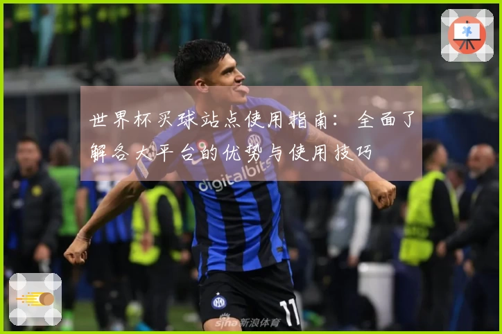 世界杯买球站点使用指南：全面了解各大平台的优势与使用技巧