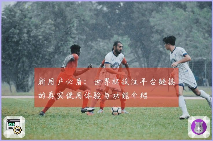新用户必看:世界杯投注平台链接的真实使用体验与功能介绍