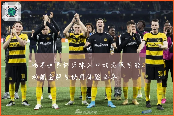 畅享世界杯买球入口的无限可能：功能全解与使用体验分享
