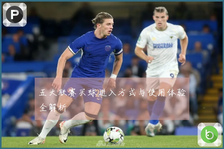 五大联赛买球进入方式与使用体验全解析