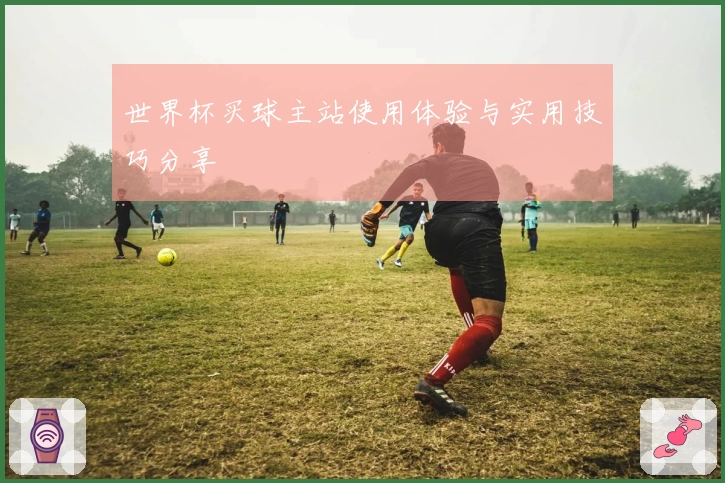 世界杯买球主站使用体验与实用技巧分享