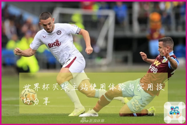 世界杯买球主站使用体验与实用技巧分享