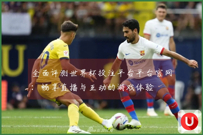 全面评测世界杯投注平台平台官网：畅享直播与互动的游戏体验