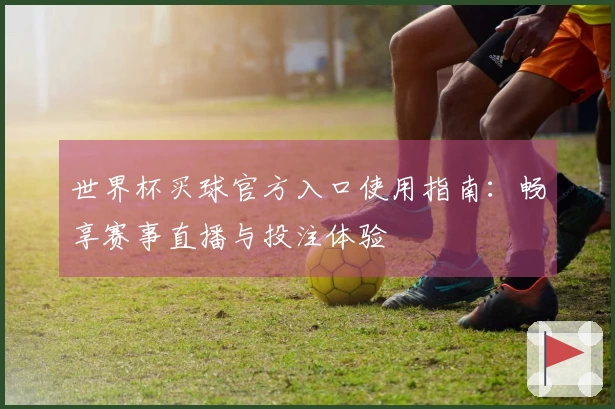 世界杯买球官方入口使用指南：畅享赛事直播与投注体验