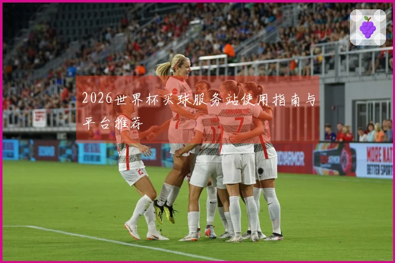 2026世界杯买球服务站使用指南与平台推荐