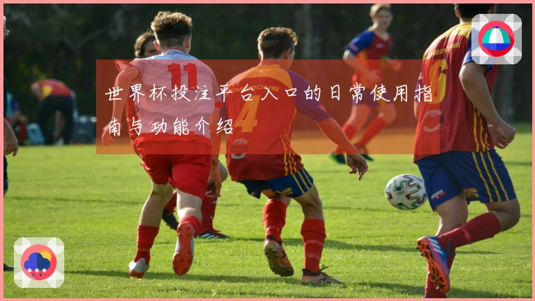 世界杯投注平台入口的日常使用指南与功能介绍