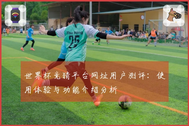 世界杯竞猜平台网址用户测评：使用体验与功能介绍分析