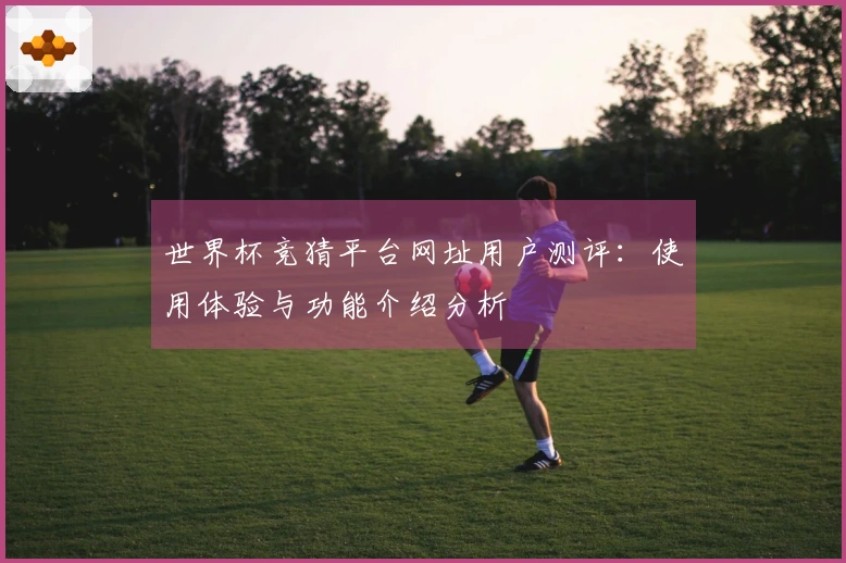 世界杯竞猜平台网址用户测评：使用体验与功能介绍分析