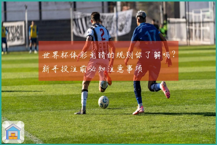 世界杯体彩竞猜的规则你了解吗？新手投注前必知注意事项